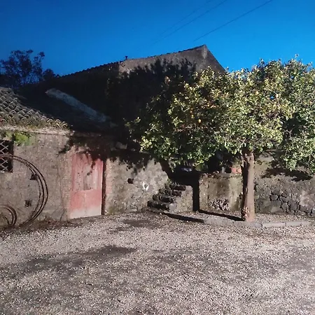 Le Palme In By Interhome Linera