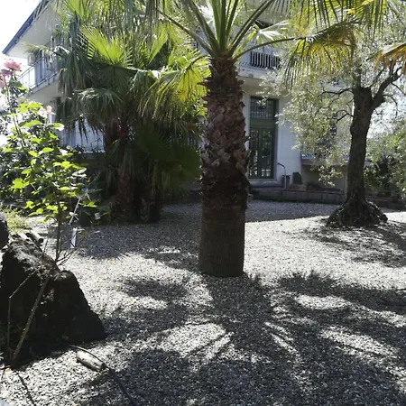 Appartement Le Palme In By Interhome