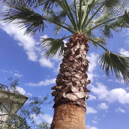 Le Palme In By Interhome Linera