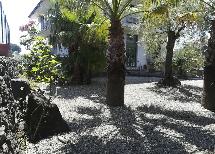 Appartement Le Palme In By Interhome