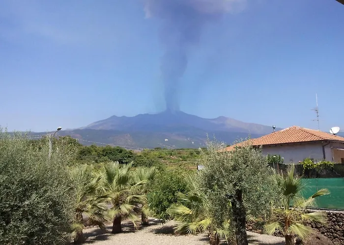 Le Palme In By Interhome *