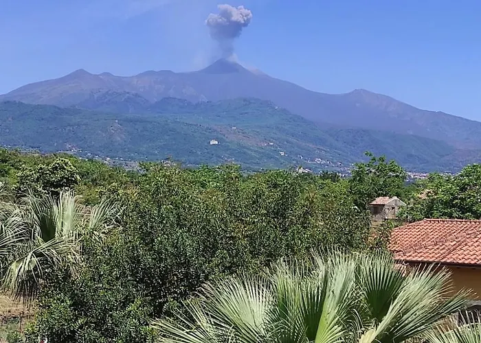 Le Palme In By Interhome *