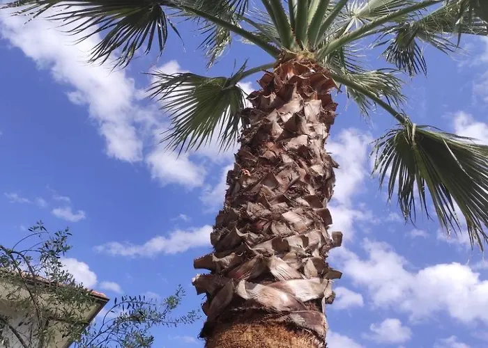 Le Palme In By Interhome Linera